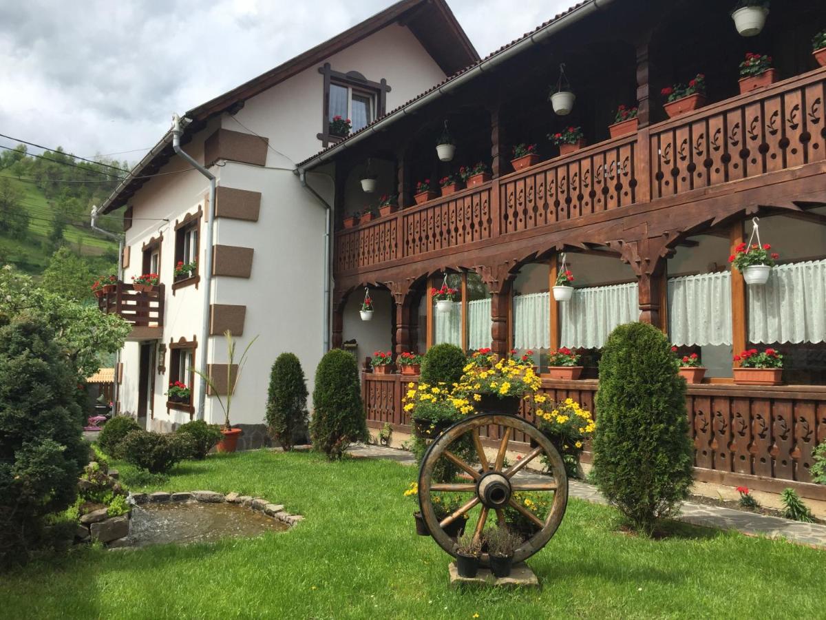 Pensiunea Cretuca Botiza Exterior foto